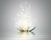 Basic Buddhism Course